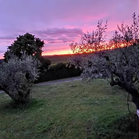 L'orto Sul Poggio Sutri