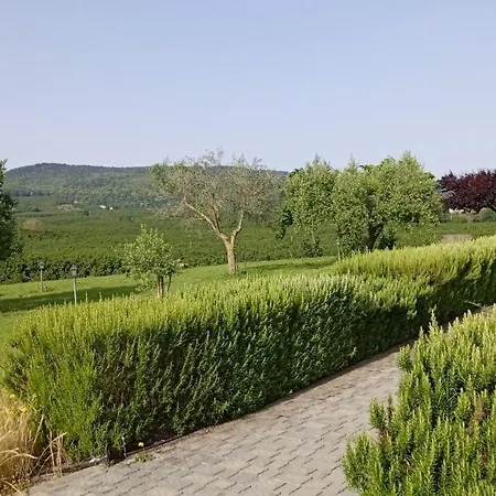 L'orto Sul Poggio Bed & Breakfast Sutri