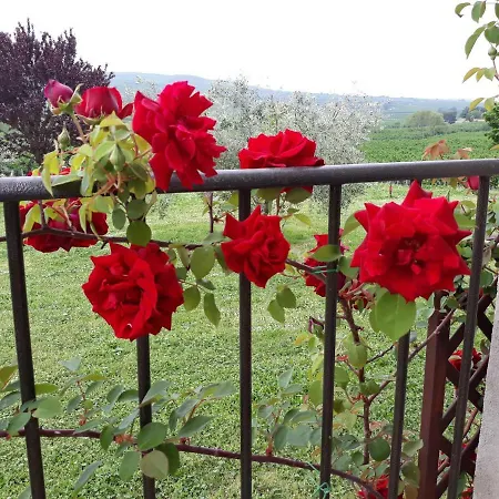 L'orto Sul Poggio Bed & Breakfast Sutri
