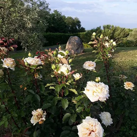 Bed & Breakfast L'orto Sul Poggio