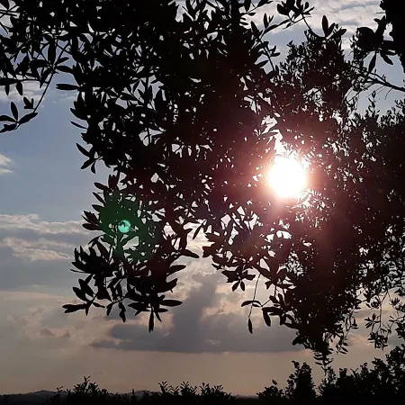 L'orto Sul Poggio *