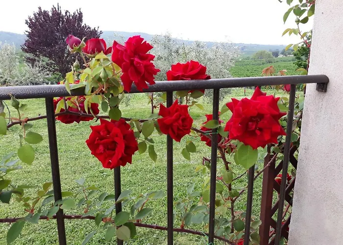 L'orto Sul Poggio לינה וארוחת בוקר סוטרי