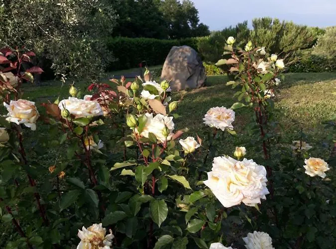 לינה וארוחת בוקר L'orto Sul Poggio