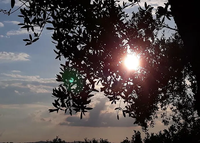 L'orto Sul Poggio 4*